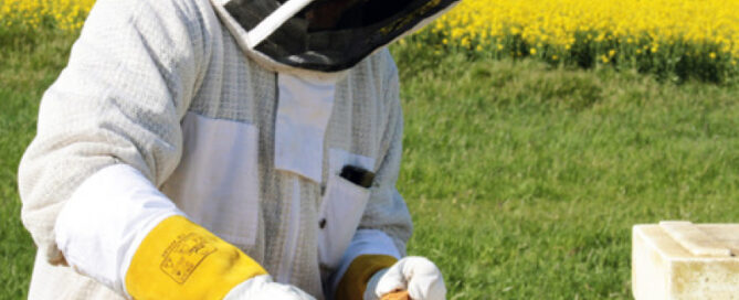 Biodling som försörjning är mer än bara honung.