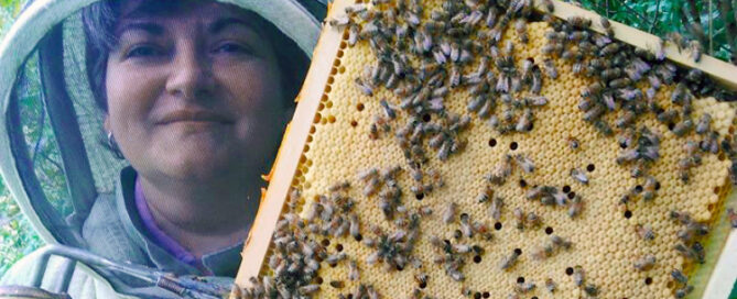 Monica Larsson Drottningodling